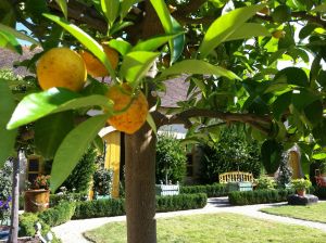 Jardins du château de saint Loup