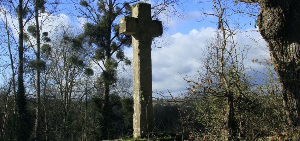 Croix Midy ou prunière