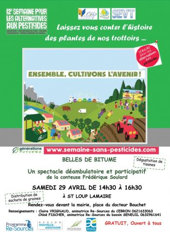 Villes et villages fleuris